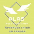 logotipo de academia