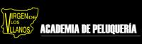 logotipo de academia